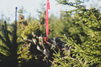 podzimky-petraska-mali-2021-29