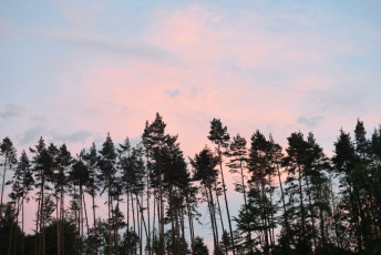 2022_07_tc3a1bor_chytrov_zlatc3bd-kompas-124