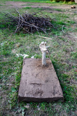 Táborák a velryba tábor 2022