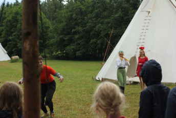 ruze, maly princ a tygr