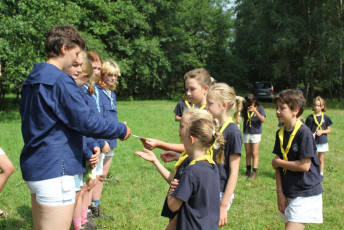 vydry si berou dipomy