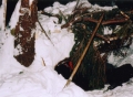 13_9skal_032004