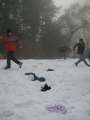 20080113_0494