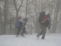 20080113_0501