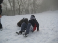 20080113_0505