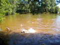 DSCN0570