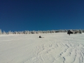51-wp_000335