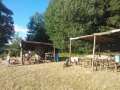 014-wp_000980