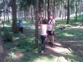 070-wp_001036