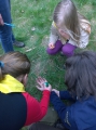 wp_20140412_12_25_10_pro