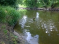 076-wp_20140706_11_10_55_pro