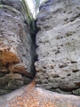 dscn0505