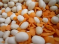 dscn0543