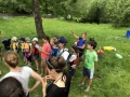20180526_115147576_ios