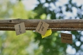 dsc_0140