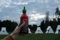 8088eb5a-e1b6-4f89-8c69-0822145637b1_1_201_a