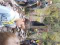 Březák