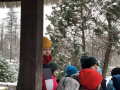 zoo