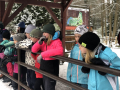 zoo4