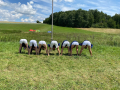 netřeba komentovat